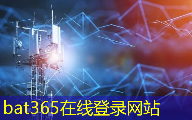 bat365官网登录入口：智慧停车城市商业计划书