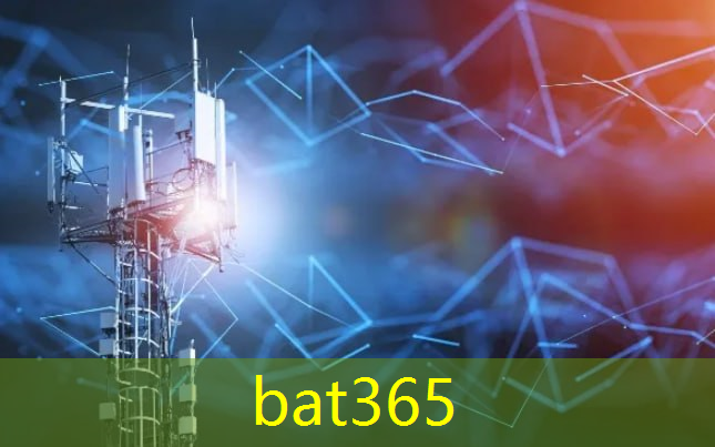 bat365：智慧城市邮票设计理念