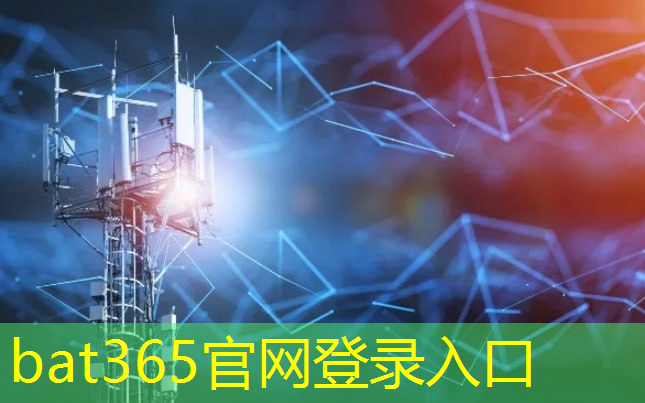 bat365在线登录网站：卫丽娜加快智慧城市建设